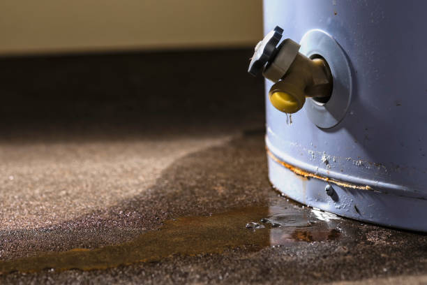 Best Mold removal after water damage  in Apex, NC