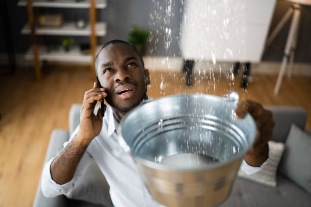 Best 24-hour water damage restoration  in Apex, NC