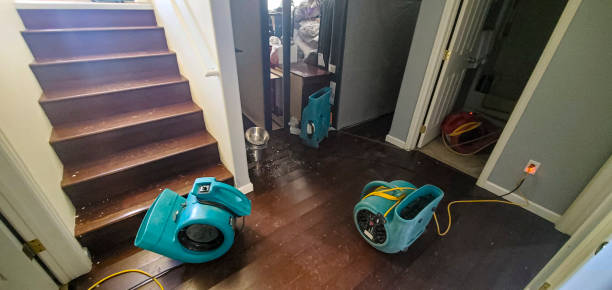Best 24-hour water damage restoration  in Apex, NC