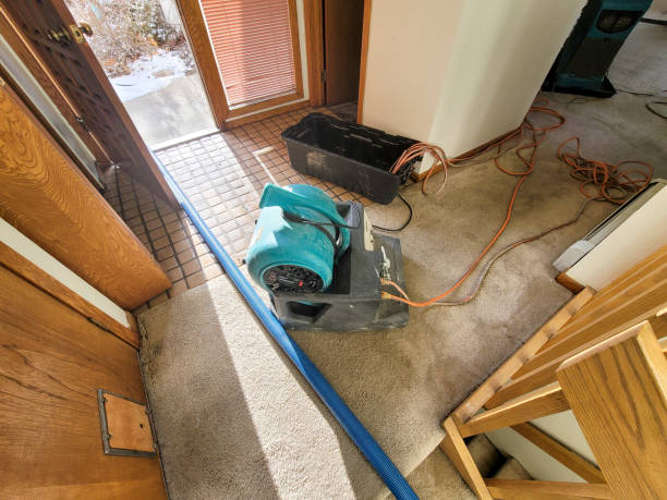 Water damage restoration mold remediation in Apex, NC