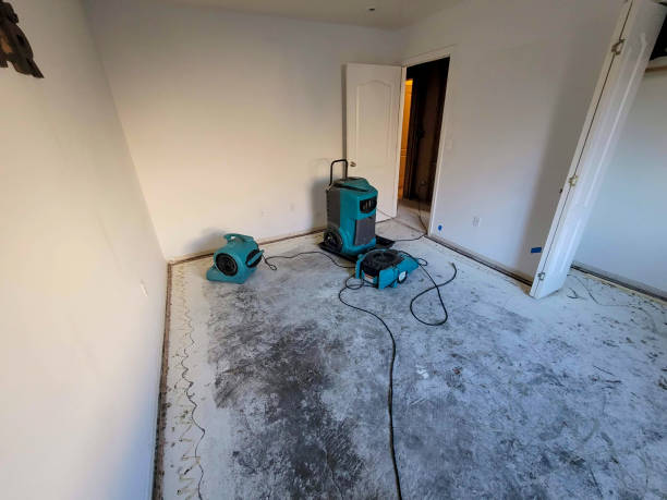 Best Professional water damage repair  in Apex, NC