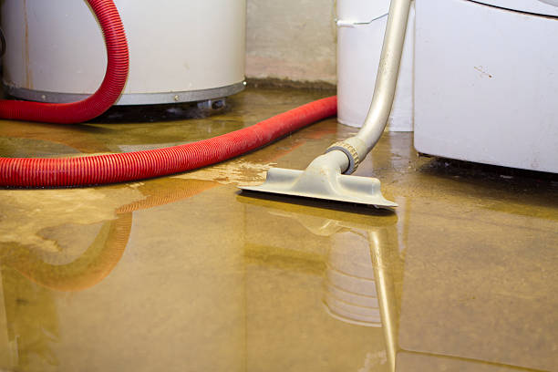 Best Water damage contractors near me  in Apex, NC