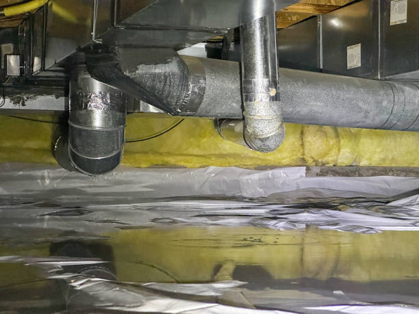 Best 24/7 water damage repair  in Apex, NC